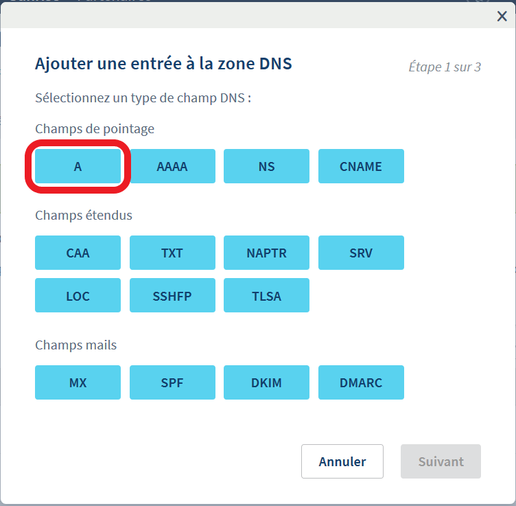 OVH - adding new DNS Zone pop-up